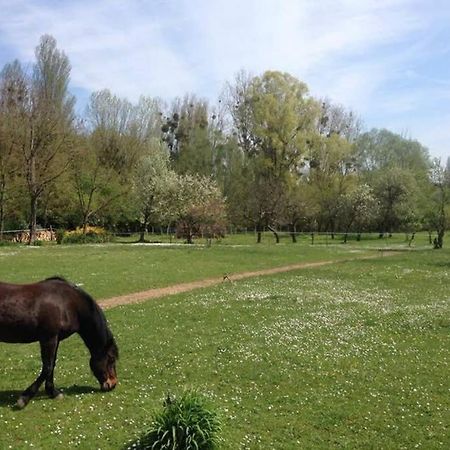 Montigny-sur-LoingLa Pierre Leveeアパートメント エクステリア 写真