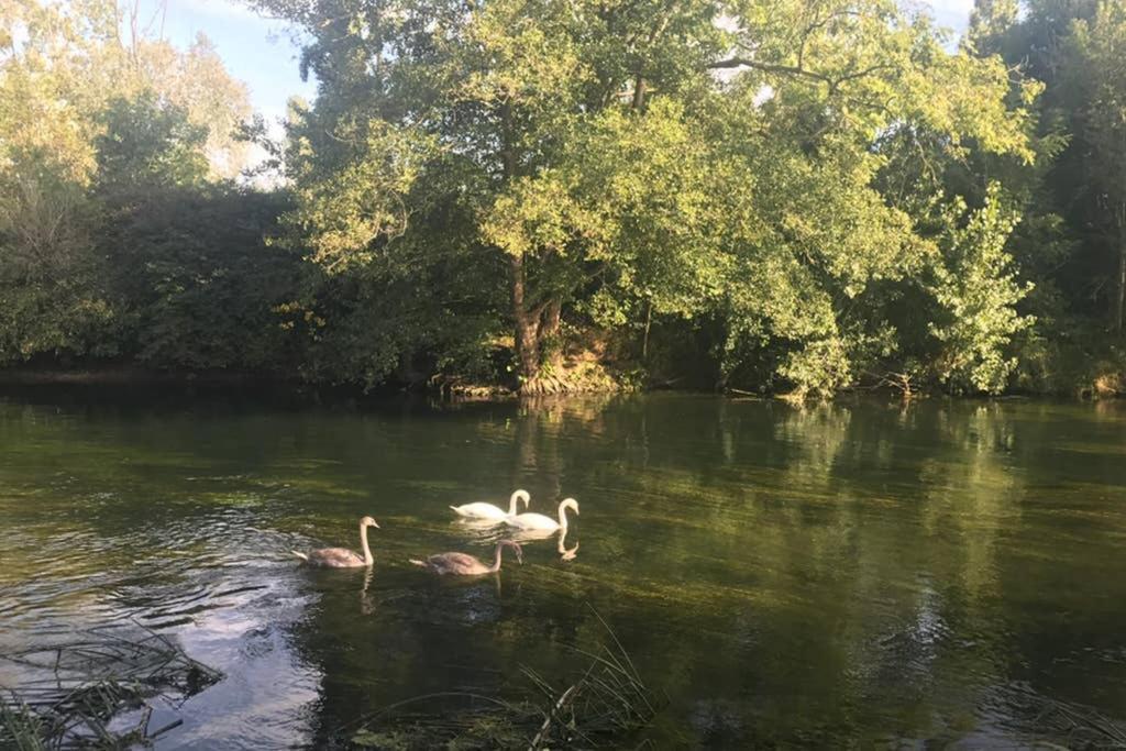 Montigny-sur-LoingLa Pierre Leveeアパートメント エクステリア 写真