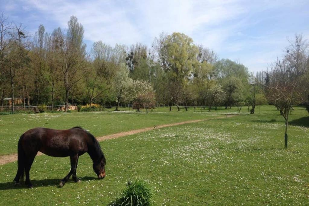 Montigny-sur-LoingLa Pierre Leveeアパートメント エクステリア 写真