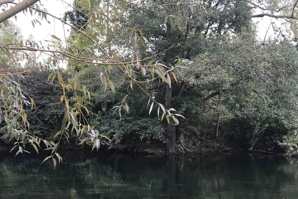 Montigny-sur-LoingLa Pierre Leveeアパートメント エクステリア 写真