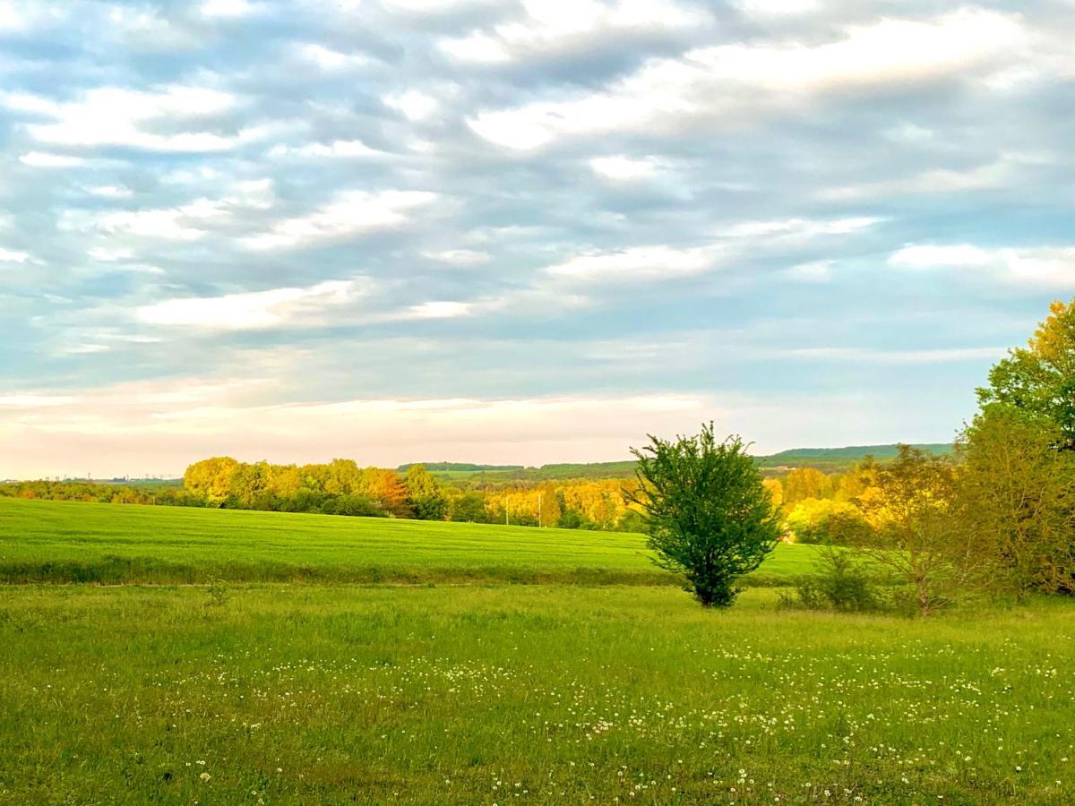 Montigny-sur-LoingLa Pierre Leveeアパートメント エクステリア 写真