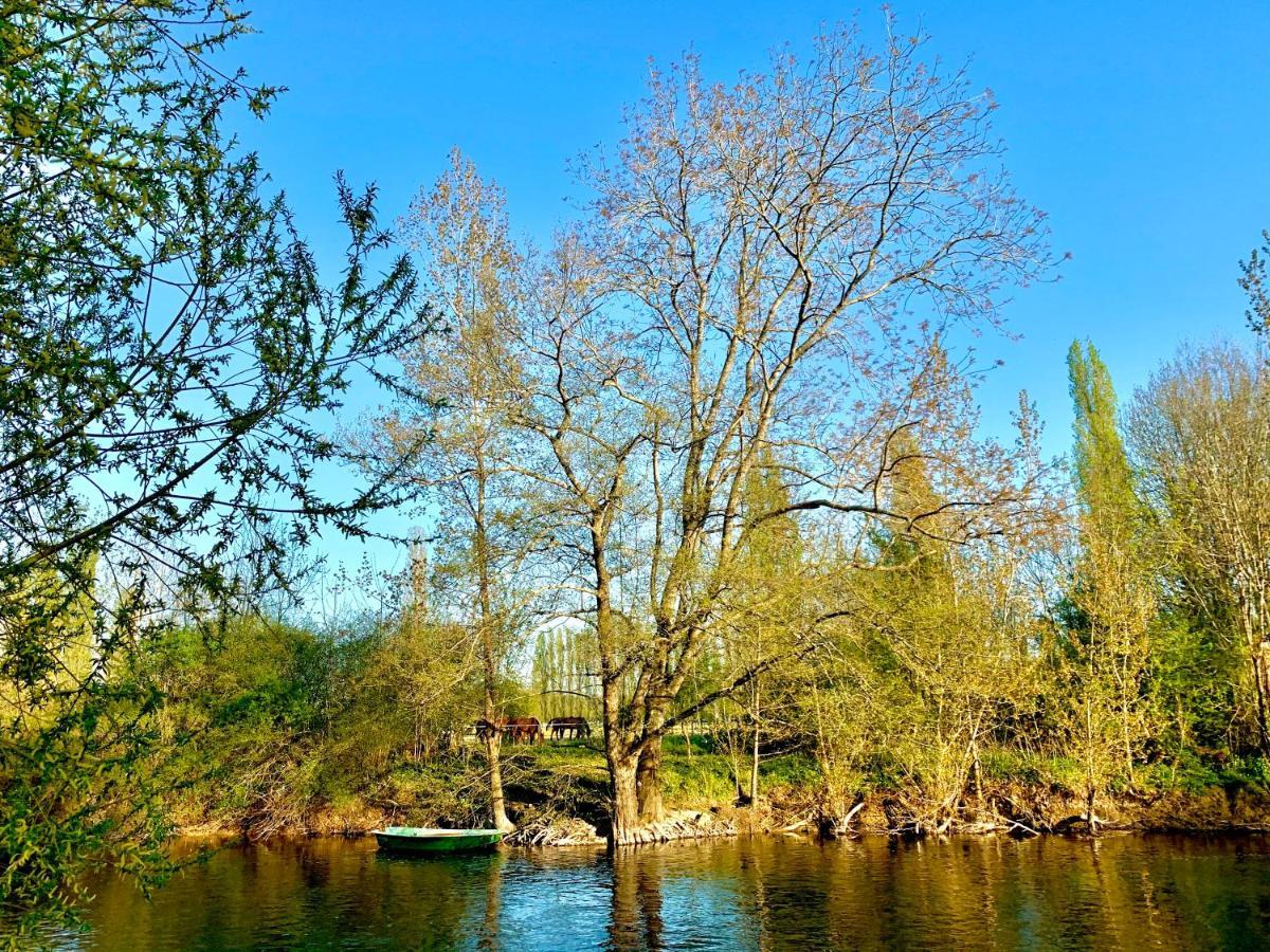 Montigny-sur-LoingLa Pierre Leveeアパートメント エクステリア 写真